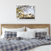 Toile Chouette à quatre cornes (Bubo Virginianus) (Insitu(Chambre))