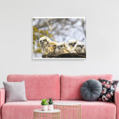 Toile Chouette à quatre cornes (Bubo Virginianus) (Insitu(Salon))