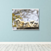 Toile Chouette à quatre cornes (Bubo Virginianus) (Insitu (Plancher de Bois))