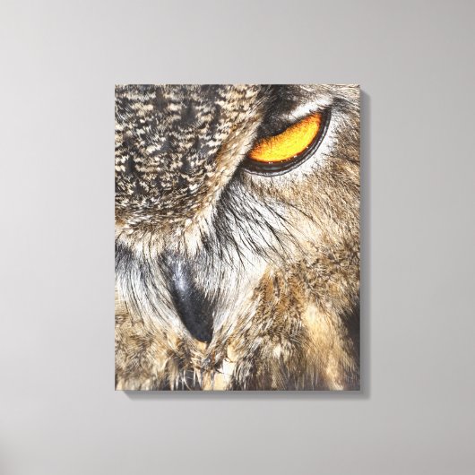 Toile Chouette d'aigle d'Eurasie (Bubo bubo) (Recto)