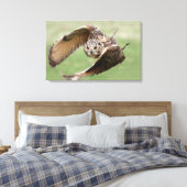 Toile Chouette d'aigle en vol (Insitu(Chambre))