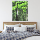 Toile Chouette dans les arbres, Oregon (Insitu(Chambre))