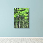 Toile Chouette dans les arbres, Oregon (Insitu (Plancher de Bois))