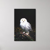 Toile Chouette hivernale majestueuse (Recto)