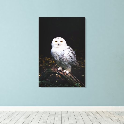 Toile Chouette hivernale majestueuse (Insitu (Plancher de Bois))