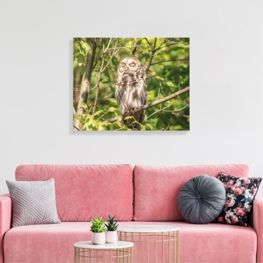 Toile Chouette rouge 20x16 dorée (Insitu(Salon))