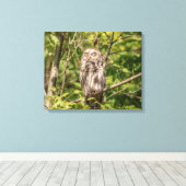 Toile Chouette rouge 20x16 dorée (Insitu (Plancher de Bois))