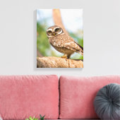 Toile Chouette tachetée en vol matinal. (Insitu(Salon))