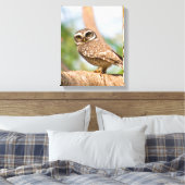 Toile Chouette tachetée en vol matinal. (Insitu(Chambre))