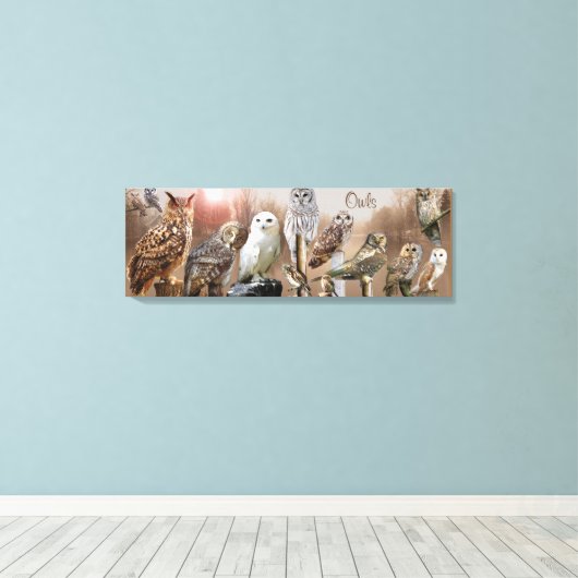 Toile Chouettes (Insitu (Plancher de Bois))