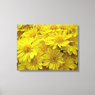 Toile Chrysanthèmes jaune soleil
