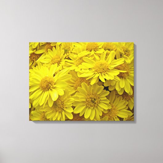 Toile Chrysanthèmes jaune soleil (Recto)