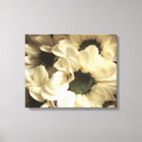CHRYSANTHEMUM JAUNE