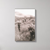 Toile Chumping Cholla Cactus Desert B&W Photo Prints (Recto)