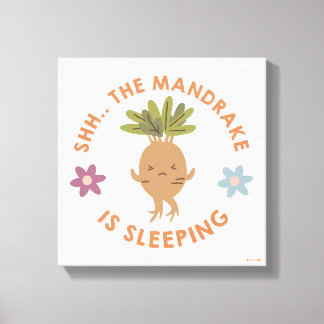 Toile Chut... Le Mandrake Dort