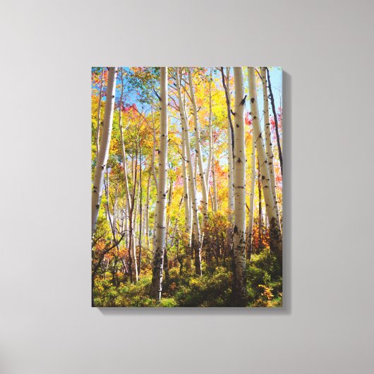 Toile Chute d'Aspen trees 5 (Recto)