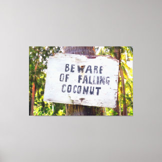 Toile CHUTE DE COCONUTS 40x60