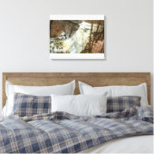 Toile Chutes de Brandywine en hiver, Ohio (Insitu(Chambre))