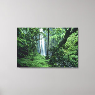 Toile Chutes de Hanakapiai le long de la côte Na Pali, K