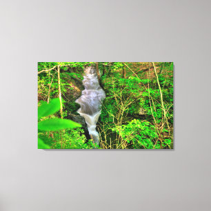 Toile Chutes du Little Miami, Clifton Gorge, Ohio