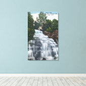 Toile Chutes Hector près de Seneca Lake View (Insitu (Plancher de Bois))