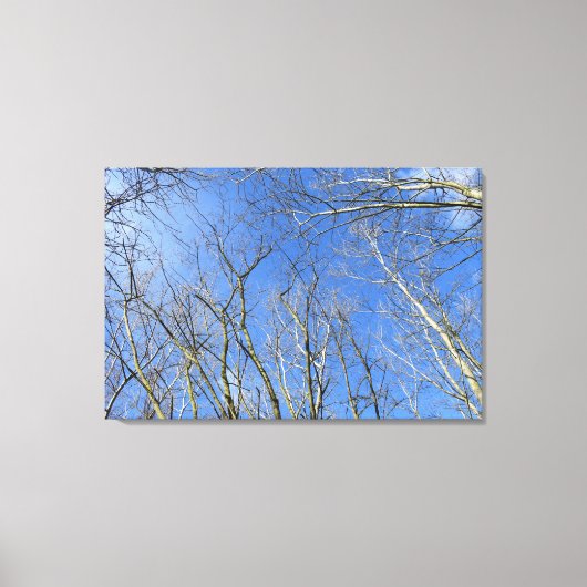 Toile Ciel bleu, arbres en hiver (Recto)
