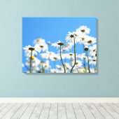 Toile Ciel bleu et marguerites blanches (Insitu (Plancher de Bois))
