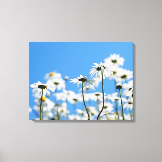 Toile Ciel bleu et marguerites blanches (Recto)