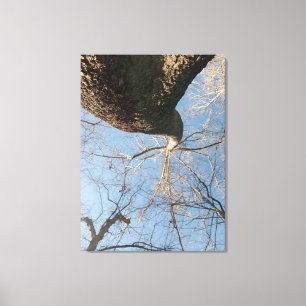 Toile Ciel limite
