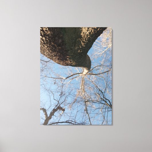 Toile Ciel limite (Recto)