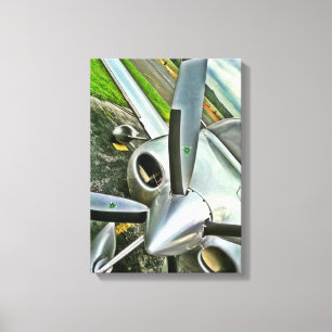 Toile Cirrus SR22T