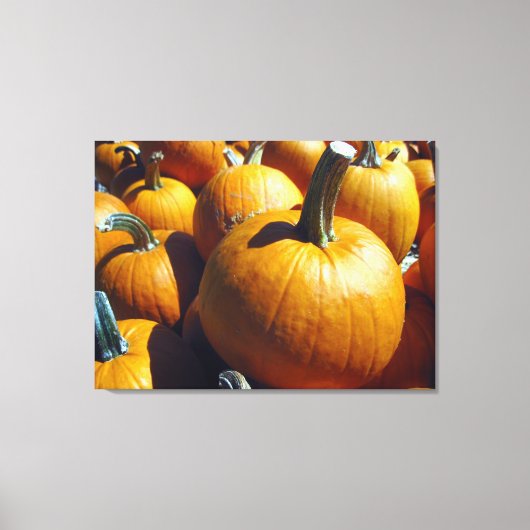 Toile citrouille (Recto)