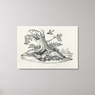 Toile Civette avec le jeune coq de la 'histoire des