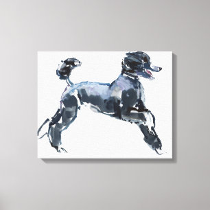 Toile Classe Sheer 2013