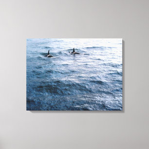 Toile Classic Orca Whale Pair Ocean Scene Photo Conçu