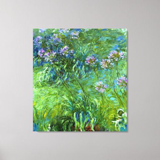 Toile Claude Monet : Agapanthus (Recto)