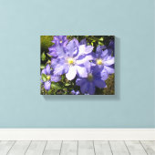 Toile Clematis Periwinkle (Insitu (Plancher de Bois))