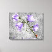 Toile Cloches d'Irlande (Recto)