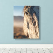 Toile Close-Up White Horse Sunrise Portrait (Insitu (Plancher de Bois))