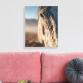 Toile Close-Up White Horse Sunrise Portrait (Insitu(Salon))
