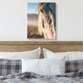 Toile Close-Up White Horse Sunrise Portrait (Insitu(Chambre))