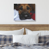 Toile Closeup allemand Shepherd/ Boxer Mix (Insitu(Chambre))