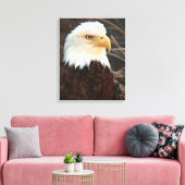 Toile Closeup de Bald Eagle (Insitu(Salon))