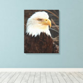 Toile Closeup de Bald Eagle (Insitu (Plancher de Bois))