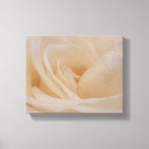 Toile Closeup Rose couleur crème