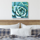Toile Closeup Succulent (Insitu(Chambre))
