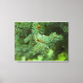 Toile Closeuse de pin (Recto)