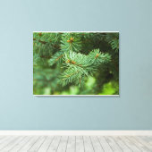 Toile Closeuse de pin (Insitu (Plancher de Bois))