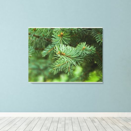 Toile Closeuse de pin (Insitu (Plancher de Bois))