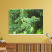 Toile Closeuse de pin (Insitu(Salon))